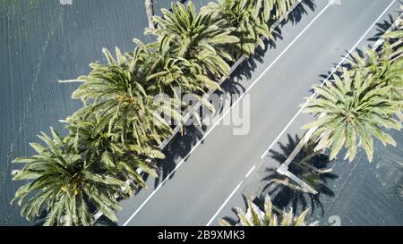 High-Angle-Aufnahme einer leeren Straße umgeben von Grün Palmen an einem sonnigen Tag Stockfoto