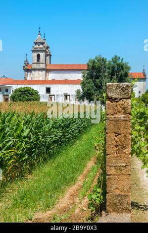 St. Martin von Tibaes Kloster, Corn Field, Braga, Minho, Portugal Stockfoto