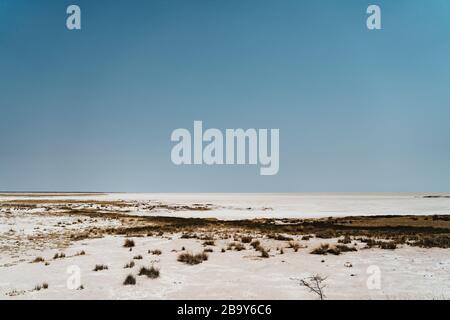 Tagsüber Wüstenlandschaft von der berühmten Etosha-Pfanne in Namibia Stockfoto