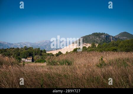 Landschaft am Marjal in Font Salada, Oliva, Spanien Stockfoto