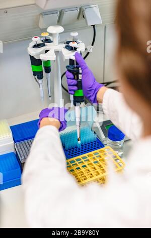 Weibliche Hände in Latexhandschuhen, die das Reagenzglas halten Stockfoto