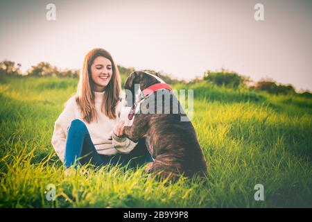 Junge Frau mit rotem Mantel und Jeans trainiert amerikanischen Staffordshire Terrier auf dem Feld Stockfoto