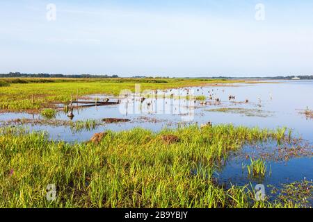 See mit einer Rasenwiese, die zum Wasser geht Stockfoto