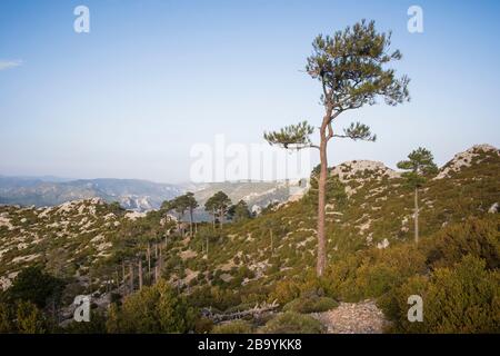 Felsige Landschaft im Els Ports Natural Park. Katalonien. Spanien. Stockfoto