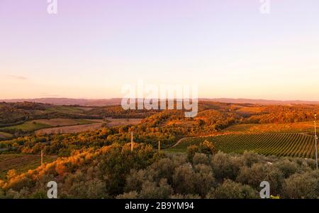 Toskanische Landschaft rund um Monteriggioni, Toskana, Italien, Europa Stockfoto