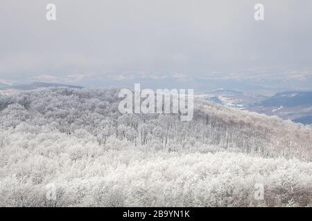 Schöne, sonnenbeschienene, frostbedeckte Bäume im Wald auf dem Berg und ferne Landschaft im Nebel versteckt Stockfoto