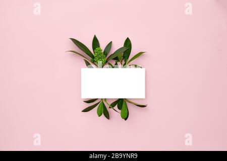 Grundriss mit grünen Blättern und Orchideenblumen auf pinkfarbenem Pastellgrund. Tropisches Naturkonzept. Flaches Layout. Leerer Platz für Text. Verspotten Sie mit einem Kopierbereich. Stockfoto