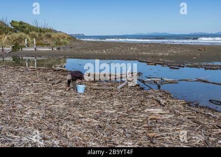 Strandkämmen in herrlicher Isolation am einsamen Strand Stockfoto