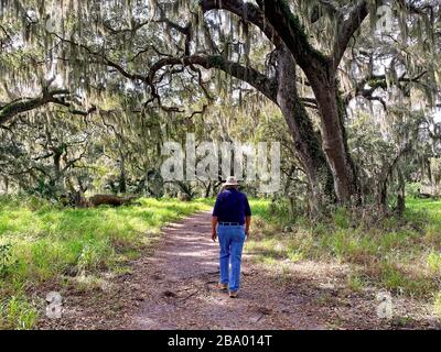 Man Walking Path; überhängende Bäume; spanisches Moos; Bewegung; friedlich; Natur; Florida; Circle B Bar Reserve; Lakeland; FL, Winter, MR Stockfoto