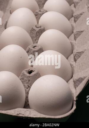 2 Reihen mit mehreren weißen Eiern, die in einem Karton mit einem Pappeikarton abgelegt werden Stockfoto