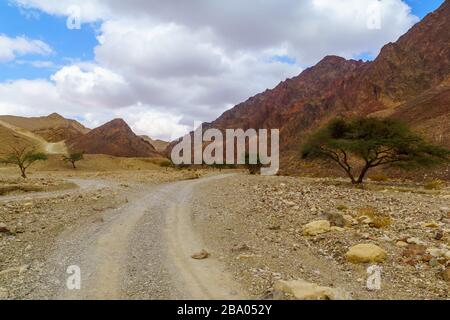 Blick auf den Nahal Shlomo (Wüstental). Eilat-Gebirge, Südisraelisch Stockfoto