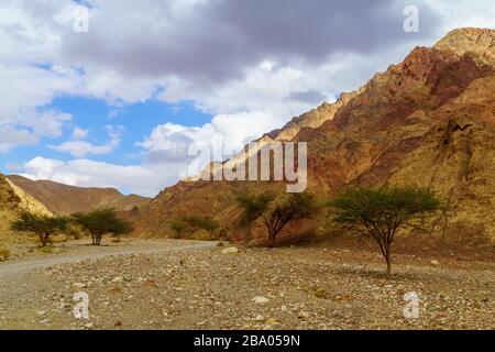 Blick auf den Nahal Shlomo (Wüstental). Eilat-Gebirge, Südisraelisch Stockfoto