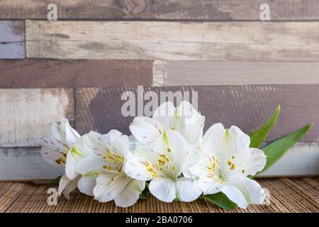 Hintergrund mit weißen Alstroemeria Blumen oder peruanischen Lilie oder Lilie der Inka mit natürlichem Holzhintergrund Stockfoto