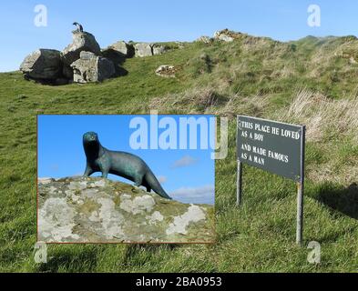 Maxwells Otter - EINE Gedenkplakette (in der Nähe der Otter-Statue) an Autor und Naturforscher Gavin Maxwell 1914-1969, Autor des Buches und späteren Films "Ring of Bright Water" in der Nähe von Monrieth, Wigtownshire, Schottland. Die Otter-Statue blickt über die Front Bay Stockfoto