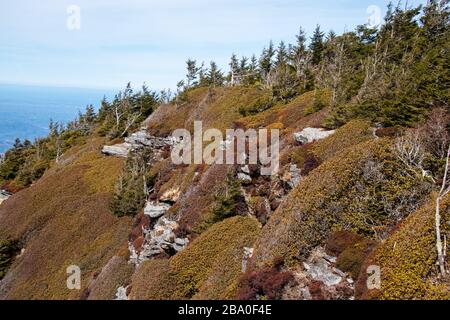 Blick vom Gipfel des Mt Le Conte vom Alum Cave Trail Stockfoto