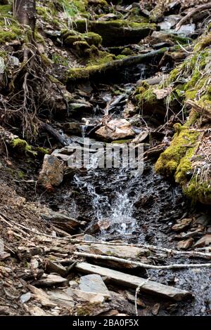 Ein kleiner Bach, der durch den Great Smoky Mountains National Park auf dem Alum Cave Trail in der Nähe von Gattlinburg, Tennessee, führt Stockfoto