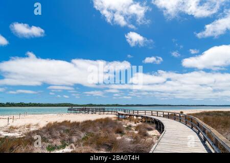 Boardwalk am Lake Clifton, Ort alter Thrombolite, Yalgorup-Nationalpark, Western Australia, Australien Stockfoto