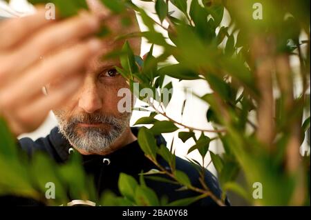 Musikkünstler, Produzent und Tierrechtler Moby in seinem Restaurant Little Pine in Los Angeles, Kalifornien. Stockfoto