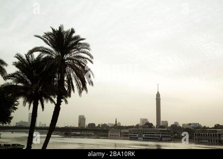 Palmen am Nil in Kairo, Ägypten. Der Kairoer Turm, der als Nasser Ananas bekannt ist, dominiert die urbane Landschaft. Stockfoto