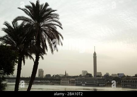 Palmen am Nil in Kairo, Ägypten. Der Kairoer Turm, der als Nasser Ananas bekannt ist, dominiert die urbane Landschaft. Stockfoto