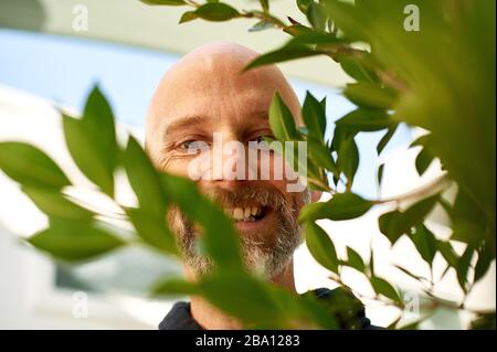 Musikkünstler, Produzent und Tierrechtler Moby in seinem Restaurant Little Pine in Los Angeles, Kalifornien. Stockfoto