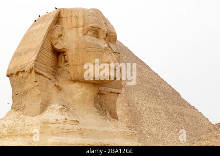 Die große Sphinx von Gizeh, von der großen Pyramide von Khufu, auf dem Giza-Plateau in Kairo, Ägypten. Die Sphinx wird für mehr als 4.500 Jahre alt gehalten. Stockfoto