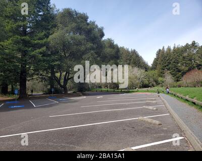 Ein normalerweise belebtes Gebiet des Redwoods Regional Park war bei einem Ausbruch des COVID-19 Coronavirus in Oakland, Kalifornien, am 21. März 2020 verlassen worden. () Stockfoto