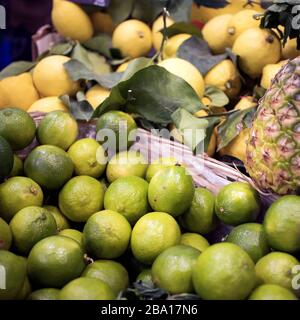 Große Zitronen mit dicken Schälchen auf dem Bauernmarkt. Stockfoto