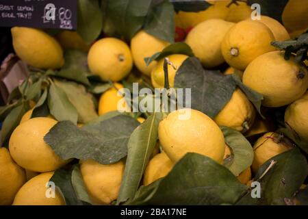 Große Zitronen mit dicken Schälchen auf dem Bauernmarkt. Stockfoto