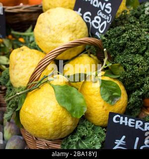 Große Zitronen mit dicken Schälchen auf dem Bauernmarkt. Stockfoto