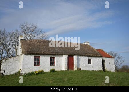 Traditionelles reetgedecktes, steinernes Cottage in der irischen Landschaft an einem hellen Frühlingmorgen. Nun hat er aufgegeben, Tierfutter zu lagern. Stockfoto