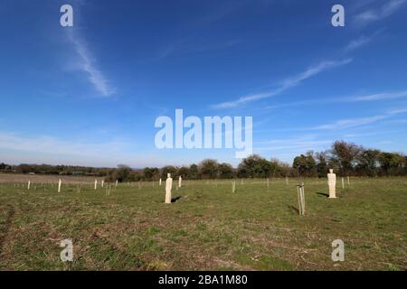 Skulpturen aus Steinsoldaten in Langley Vale aus dem ersten Weltkrieg Centenary Wood Surrey des Bildhauers Patrick Walls Stockfoto