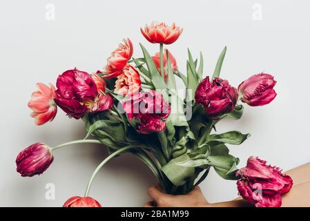 Schöner Bund aus Tulpen im Pony- und Papageienstil in den Händen auf dem hellen Hintergrund, Frühlingsferienkonzept, Kopierraum Stockfoto