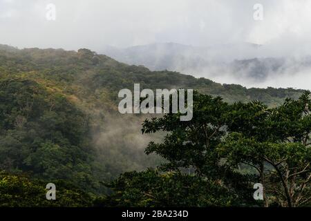 Natur in Costa Rica Stockfoto