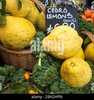 Große Zitronen mit dicken Schälchen auf dem Bauernmarkt. Quadratisches Bildformat Stockfoto