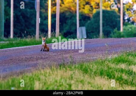 Manitoba Transcanada Highway. Landschaft Stockfoto