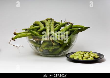 Breite Bohnen in zwei schwarzen Gerichten auf weißem Hintergrund geschnitten Stockfoto