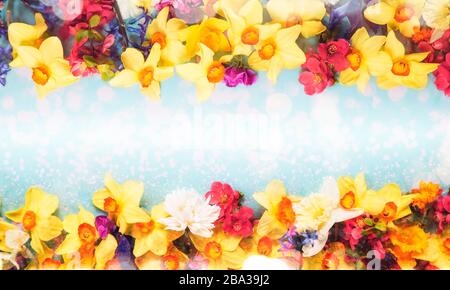 Blumenarrangement im Frühjahr auf blauem Grund Stockfoto