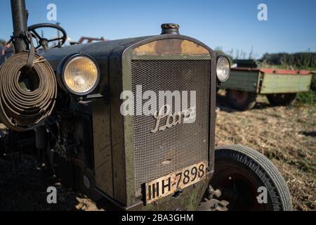 Der alte und alte Lanz Bulldog Tractorr, der mit einem Pflug auf den Feldern arbeitet und zeigt, wie die Landwirtschaft vor vielen Jahren erfolgte. Stockfoto