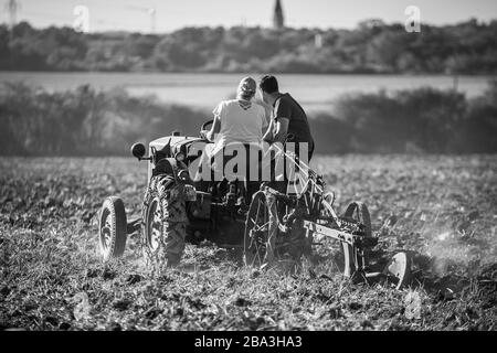 Der alte und alte Lanz Bulldog Tractorr, der mit einem Pflug auf den Feldern arbeitet und zeigt, wie die Landwirtschaft vor vielen Jahren erfolgte. Stockfoto