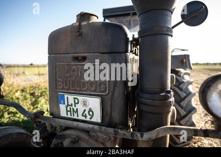 Der alte und alte Lanz Bulldog Tractorr, der mit einem Pflug auf den Feldern arbeitet und zeigt, wie die Landwirtschaft vor vielen Jahren erfolgte. Stockfoto