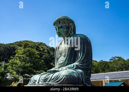 Seitenansicht des großen Buddha von Kamakura (Daibutsu), einer höchsten Buddha-Statue aus Bronze in Japan Stockfoto