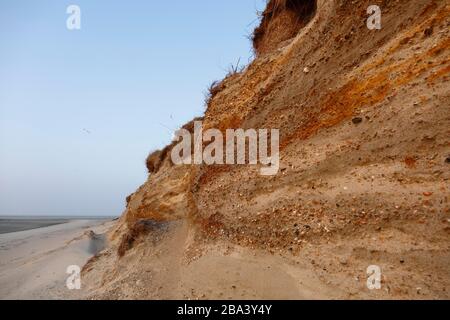 Felskante, Steilwand durch Sturmfluten am Kraftwerk Minsener Oog, Nationalpark Niedersachsen-Wattenmeer, Niedersachsen, Deutschland Stockfoto