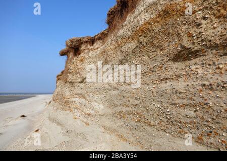 Felskante, Steilwand durch Sturmfluten am Kraftwerk Minsener Oog, Nationalpark Niedersachsen-Wattenmeer, Niedersachsen, Deutschland Stockfoto