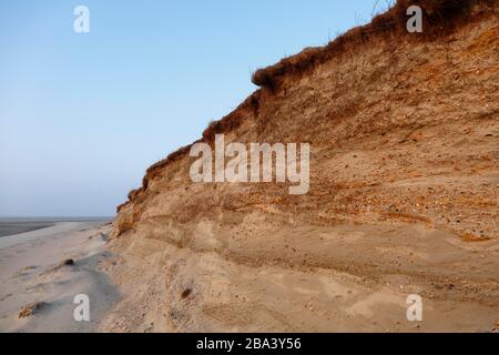 Felskante, Steilwand durch Sturmfluten am Kraftwerk Minsener Oog, Nationalpark Niedersachsen-Wattenmeer, Niedersachsen, Deutschland Stockfoto