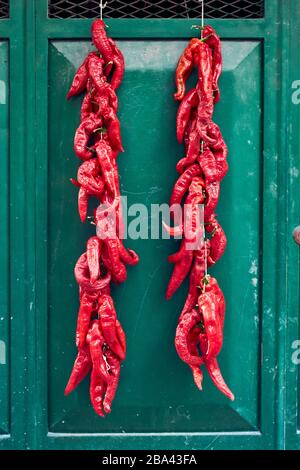 Rote Paprika hängen an grüner Tür Stockfoto