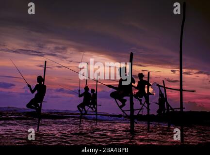 Silhouetten der traditionellen srilankischen Stelzenfischer beim Sonnenuntergang in Koggala, Sri Lanka Stockfoto