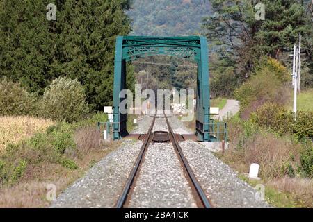 Kleine dunkelgrüne Bahnbrückenkonstruktion aus Metall, die über Bahngleisen und Schotterfundament steigt und mit dichter Waldvegetation und Bäumen umgeben ist Stockfoto