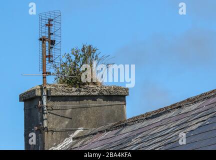 Dachschief und Grat-Linie der häuslichen Wohnung in der Grafschaft Donegal mit alten verrosteten Fernsehantenne befestigt Schornstein mit Gras und Unkraut oben. Stockfoto