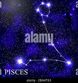 Fische-Sternzeichen mit schönen hellen Sternen auf dem Hintergrund von Cosmic Sky Vector Illustration EPS10 Stock Vektor